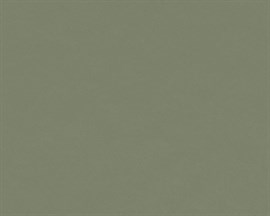 Olive 4184 Linoleum