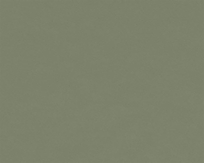 Olive 4184 Linoleum