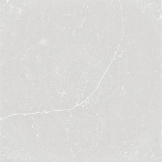 Desert Silver Silestone